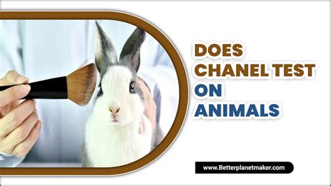 chanel test on animals|chanel ethical issues.